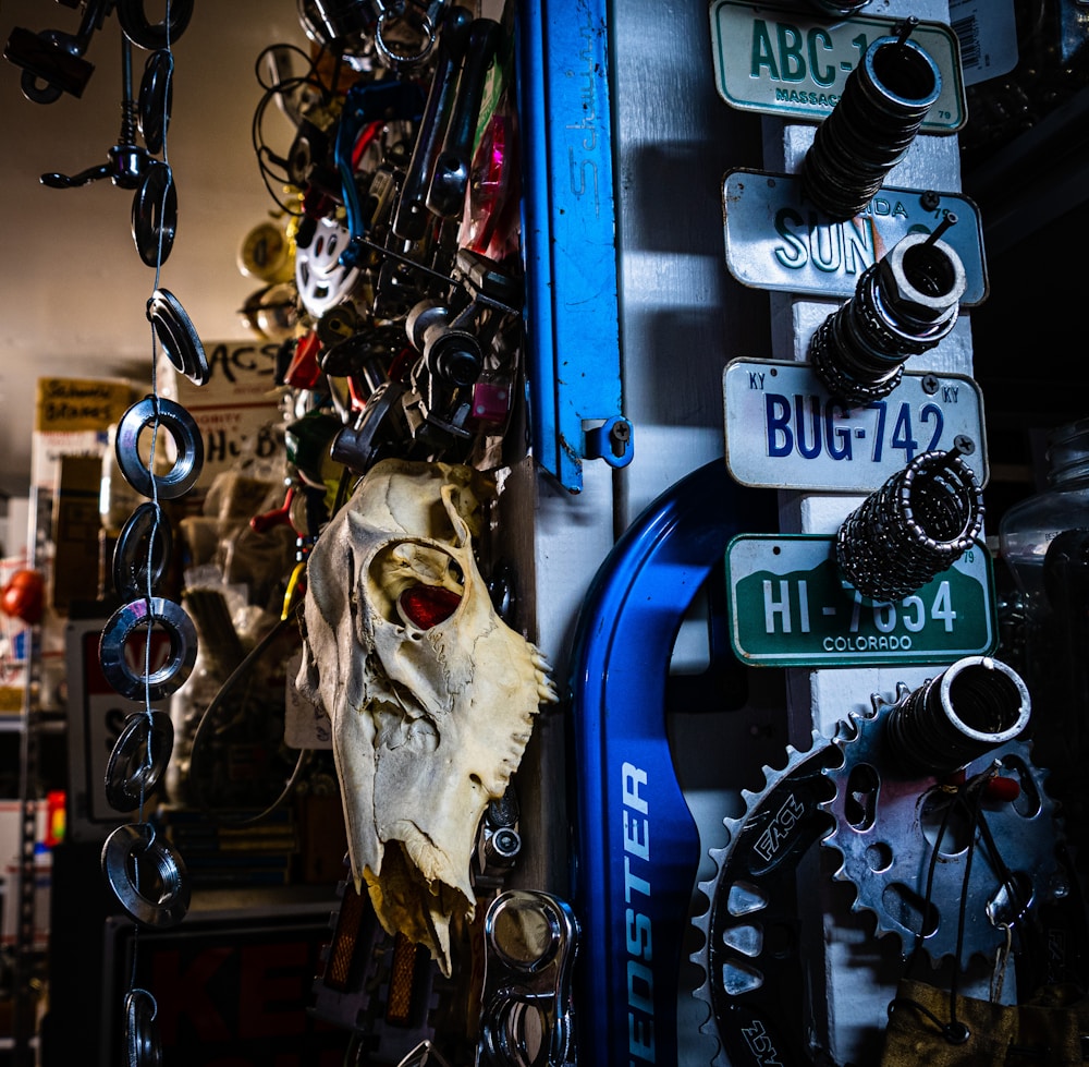 Servicio integral y profesional de vaciado y limpieza por síndrome de Diógenes en Caldes de Montbui